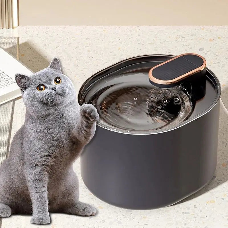 3L Automatic Pet Drinking Fountain USB Electric Drinking Dispenser