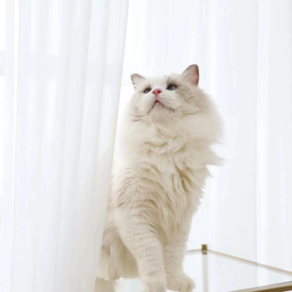 White Sheer Curtains