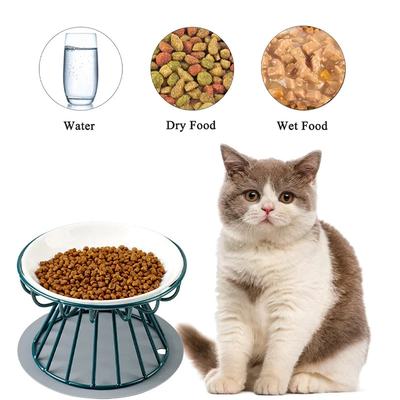 Ceramic Pet Bowl Dish Stainless Steel Raised Stand