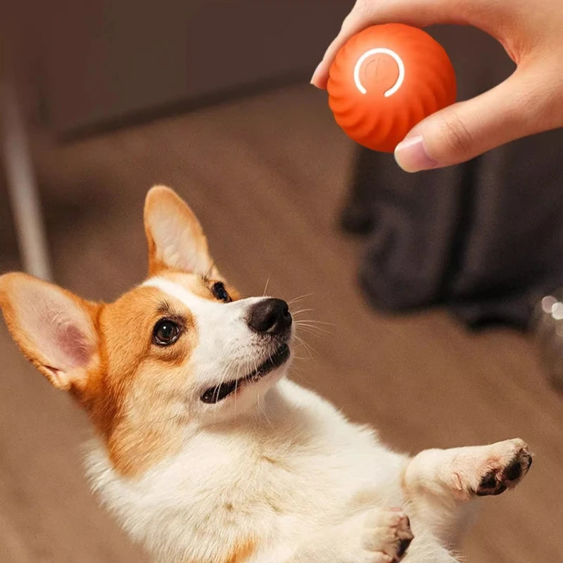 Smart Electric Pet Toy Gravity Jump Balls