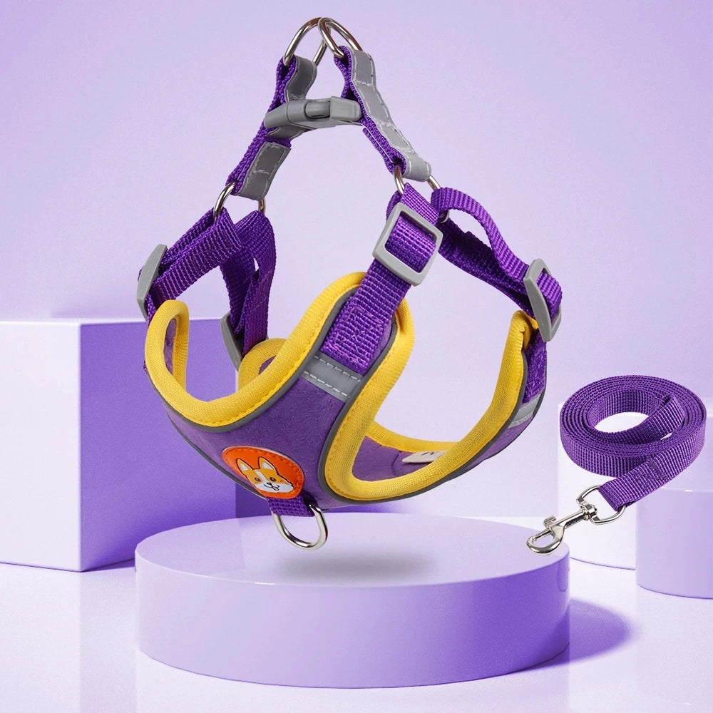 Step-in Pet Adjustable Soft Harness and Leash Set