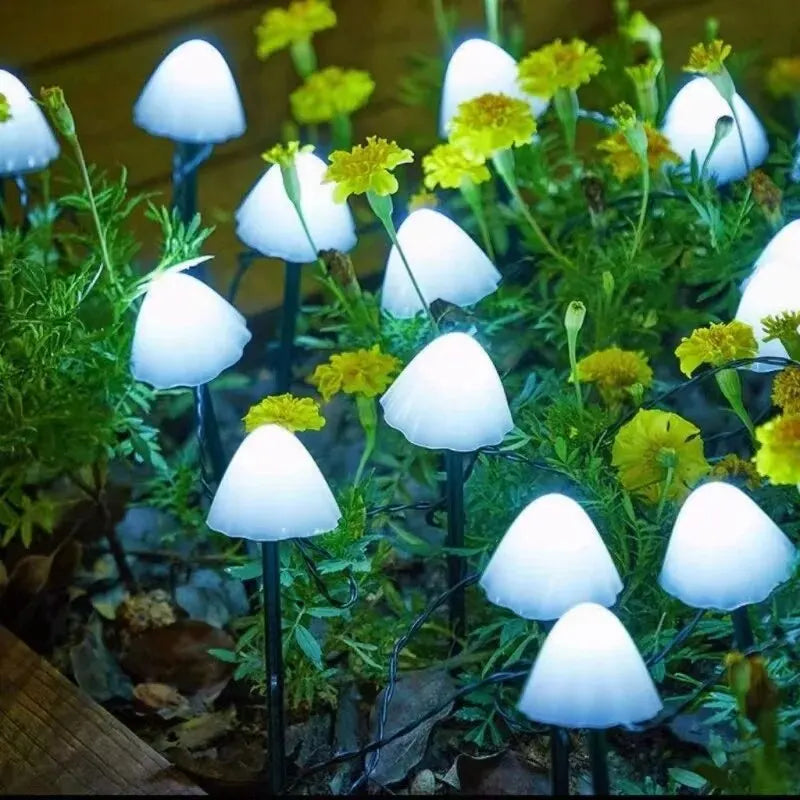 10 LED Solar Mushroom Lights