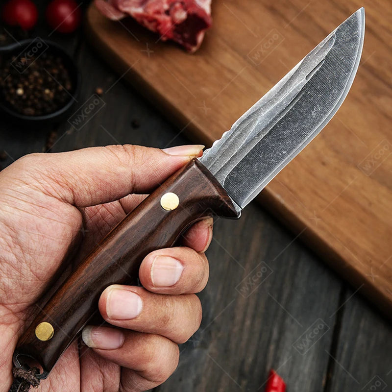 Japanese Professional Chef Fruit Knife